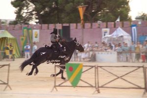 Cavaliere