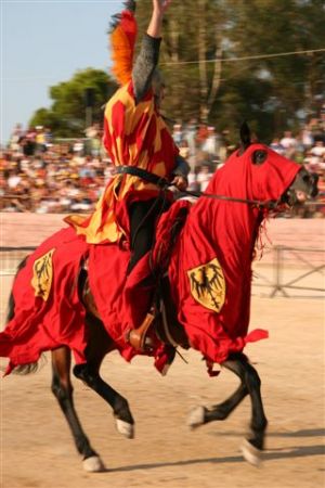 Cavaliere