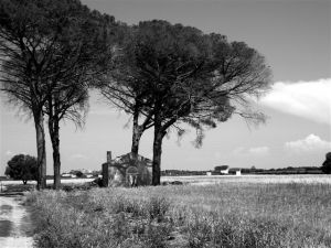 Panorama dalla campagna di Oria 